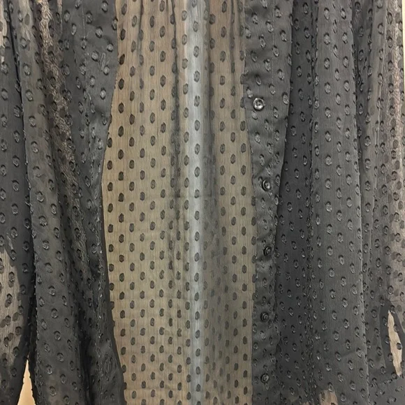 Banana Republic Black Sheer Blouse - Picture 7 of 8